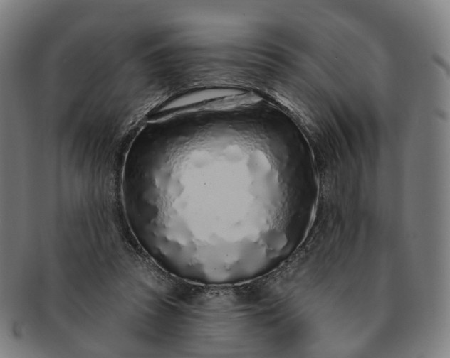 X0000091310353200708241119