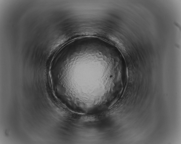 X0000091310354200708241119