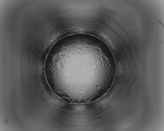 X0000091310355200708241119