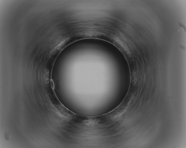 X0000091310356200708241119