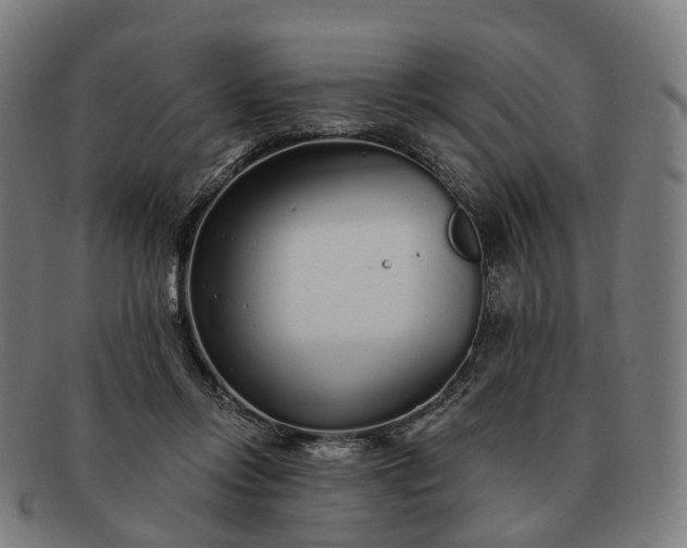 X0000091310358200708241119