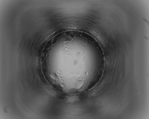 X0000091310359200708241119