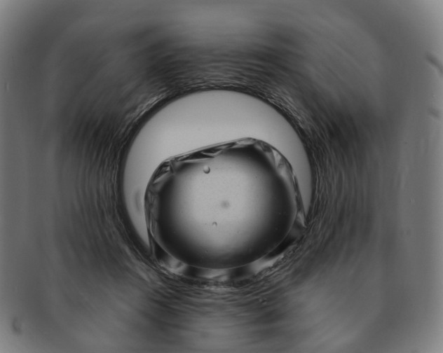 X0000091310360200708241119