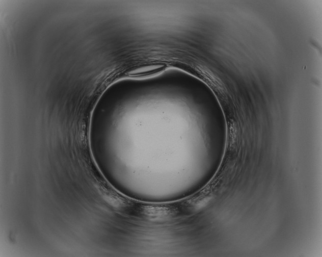 X0000091310361200708241119