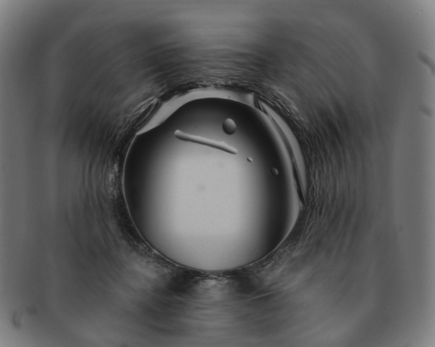 X0000091310364200708241119