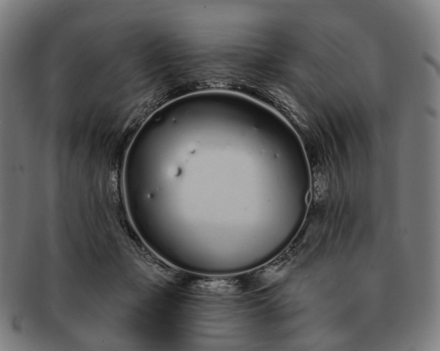 X0000091310365200708241119