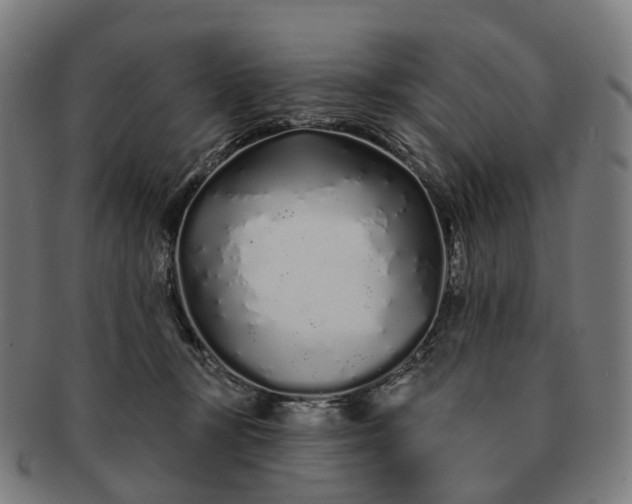 X0000091310367200708241119