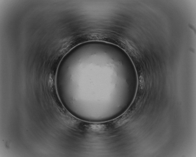 X0000091310371200708241119