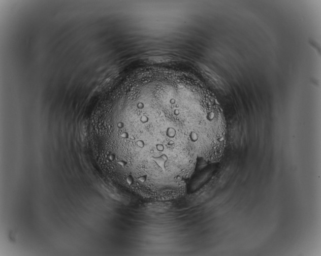 X0000091310373200708241119