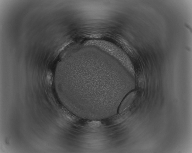 X0000091310374200708241119