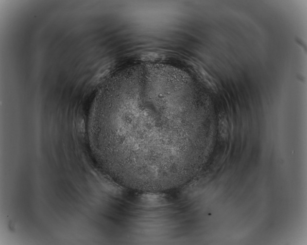 X0000091310375200708241119