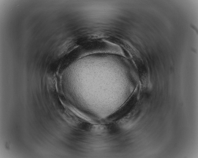 X0000091310376200708241119