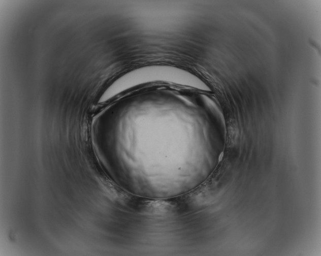 X0000091310379200708241119