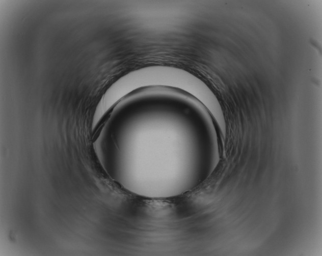 X0000091310380200708241119