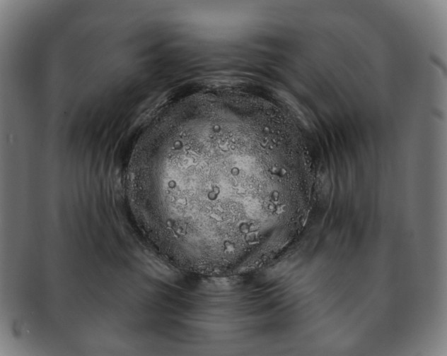 X0000091310381200708241119