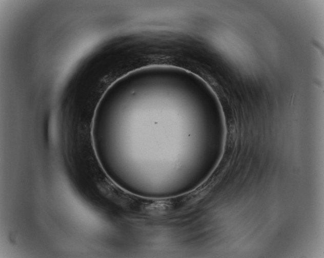 X0000091310383200708241119