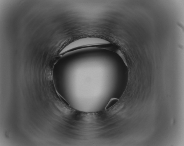 X0000091310384200708241119