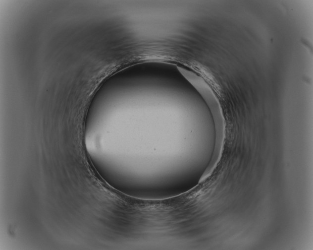 X0000091310385200708241118