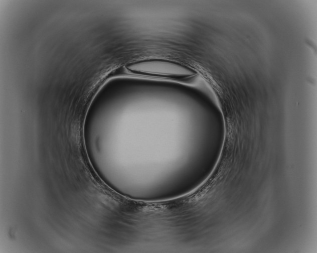 X0000091310386200708241118