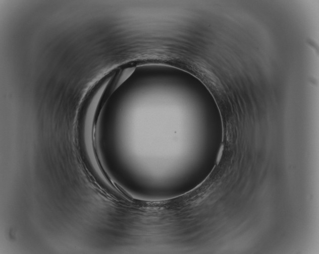 X0000091310388200708241118