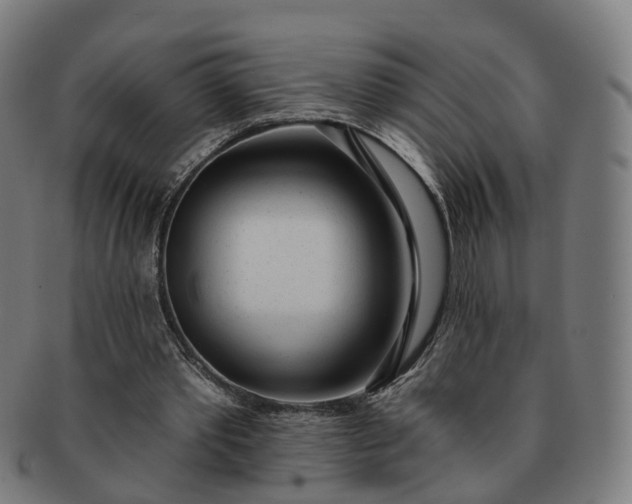 X0000091310389200708241118