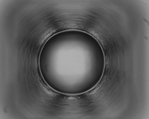 X0000091310390200708241118