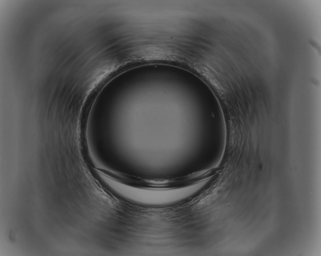 X0000091310391200708241118