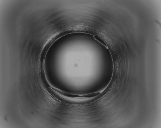 X0000091310392200708241118