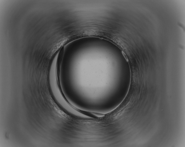 X0000091310393200708241118