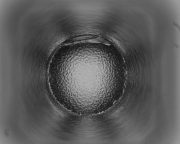 X0000091310394200708241118