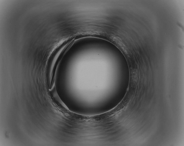 X0000091310395200708241118