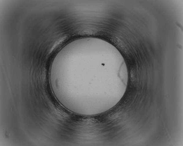 X0000091310396200708241118