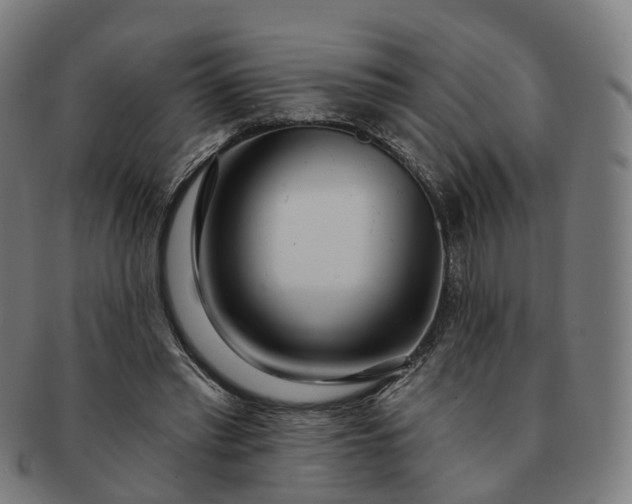 X0000091310397200708241118