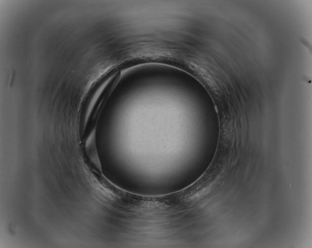 X0000091310399200708241118