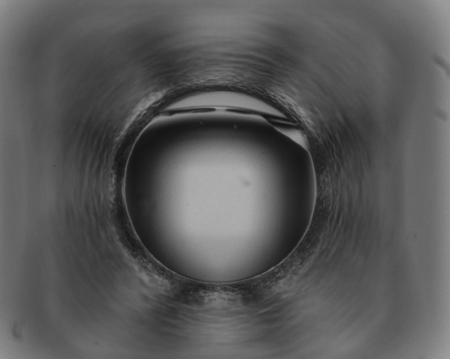 X0000091310400200708241118