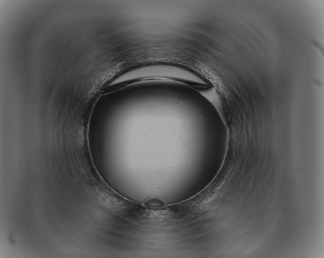 X0000091310401200708241118