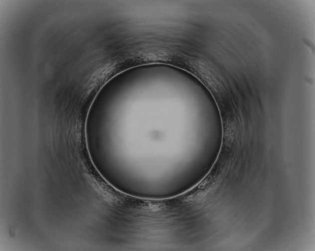 X0000091310402200708241118