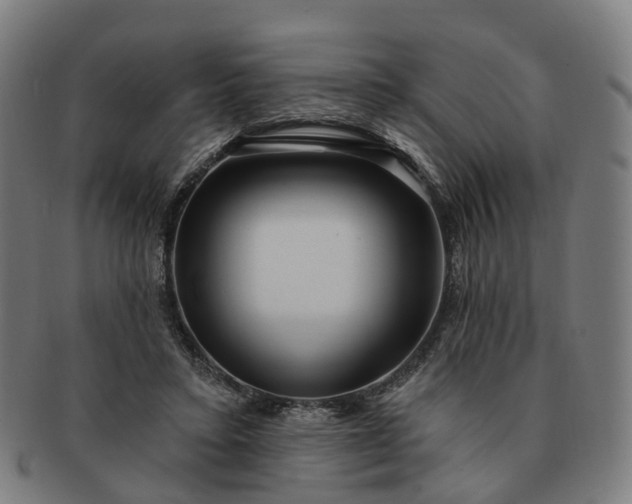 X0000091310403200708241118