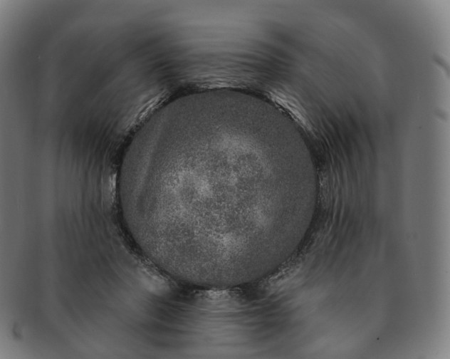 X0000091310406200708241118