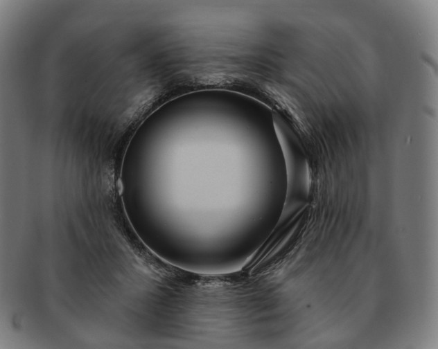 X0000091310407200708241118