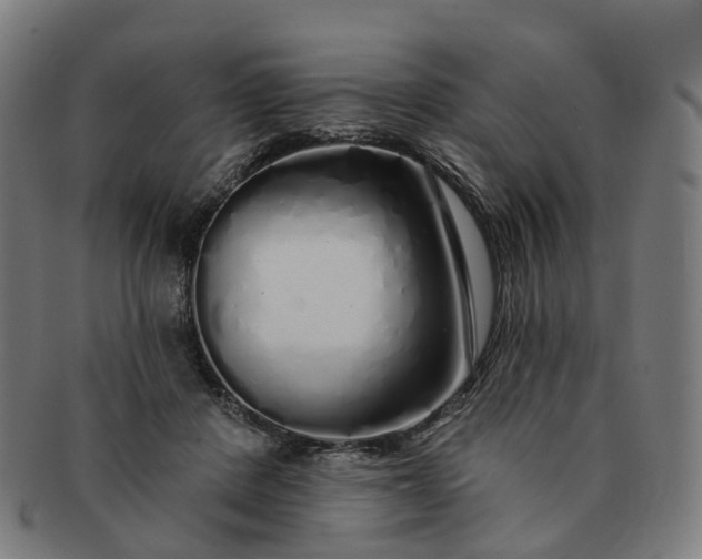 X0000091310408200708241118