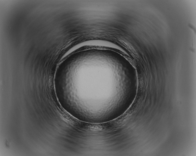 X0000091310409200708241118