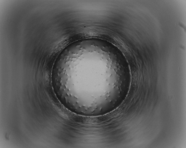 X0000091310410200708241118