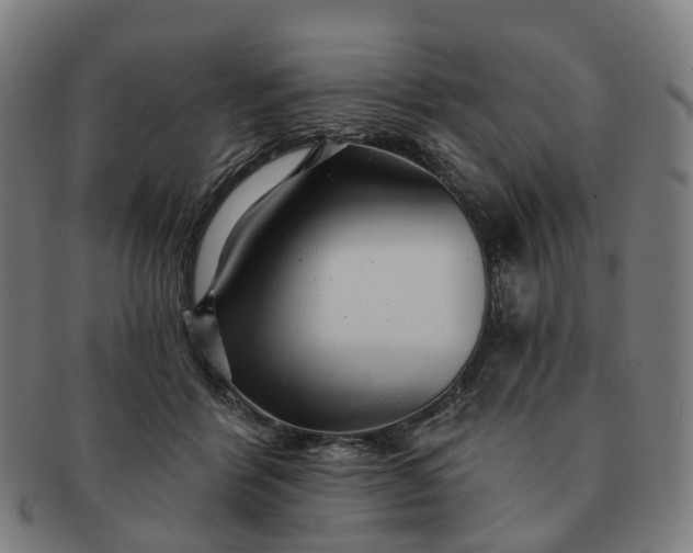 X0000091310412200708241118