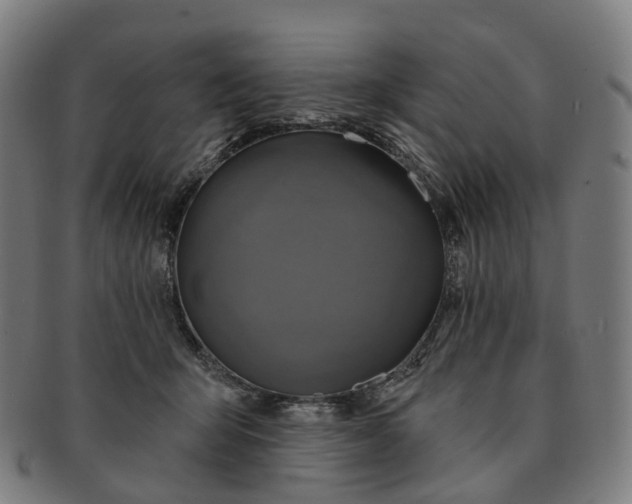 X0000091310415200708241118