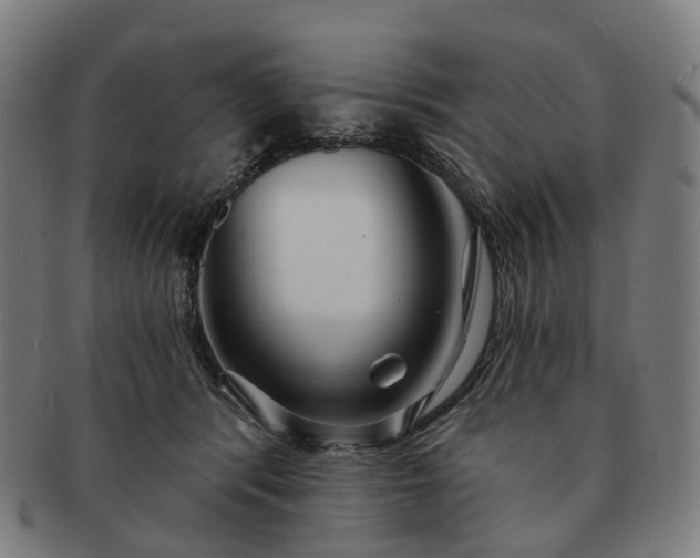 X0000091310416200708241118