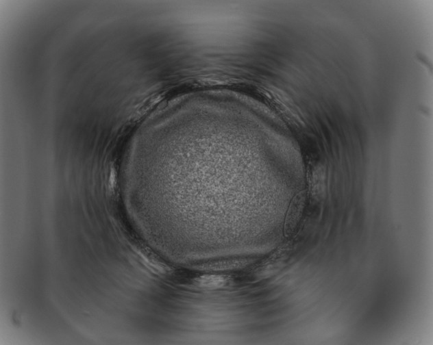 X0000091310418200708241118