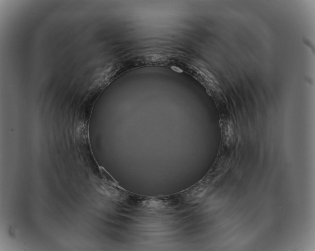 X0000091310419200708241118