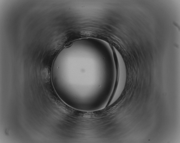 X0000091310420200708241118