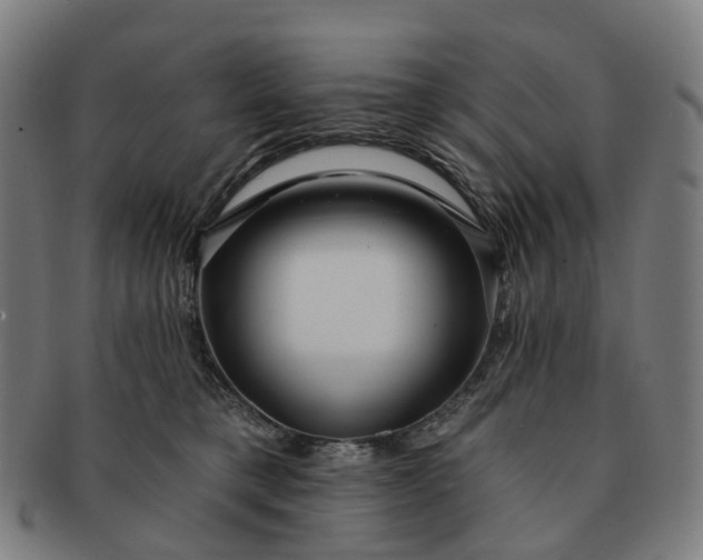 X0000091310421200708241118